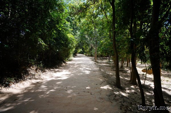 Banteay Srei (Бантеай Срей) - парк