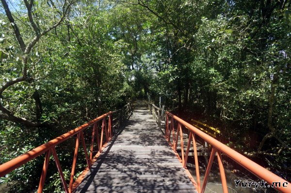 Вход в мангровые заросли Кота-Кинабалу